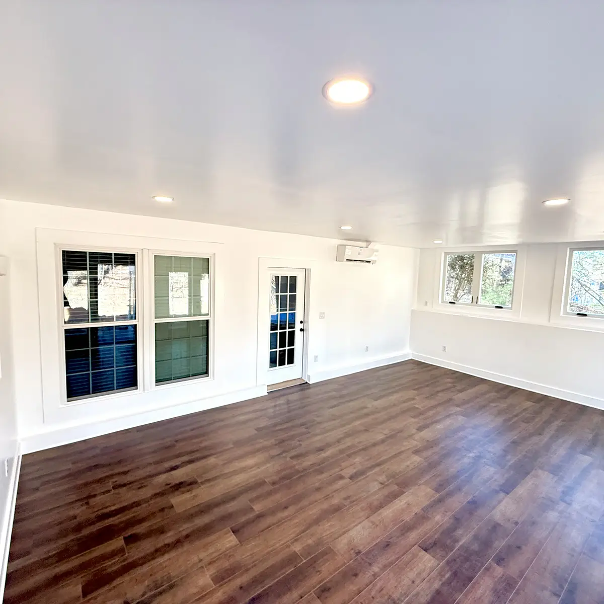 Basement-level addition interior with dark LVP flooring